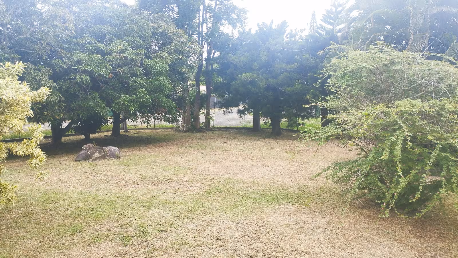 Grand jardin arboré entièrement tondu et débroussaillé par ABC Support à Païta
